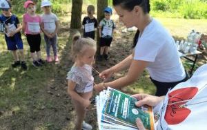 Sprintem do maratonu (2)