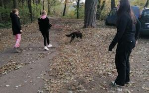 Dzień Kundelka (2)