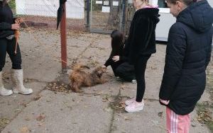 Dzień Kundelka (18)