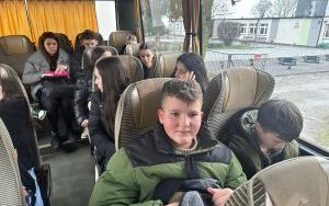 Mały Książę (2)