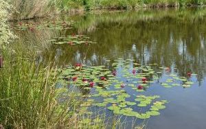 Rowerowa wycieczka do Arboretum (8)